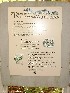Dolly Sods signs